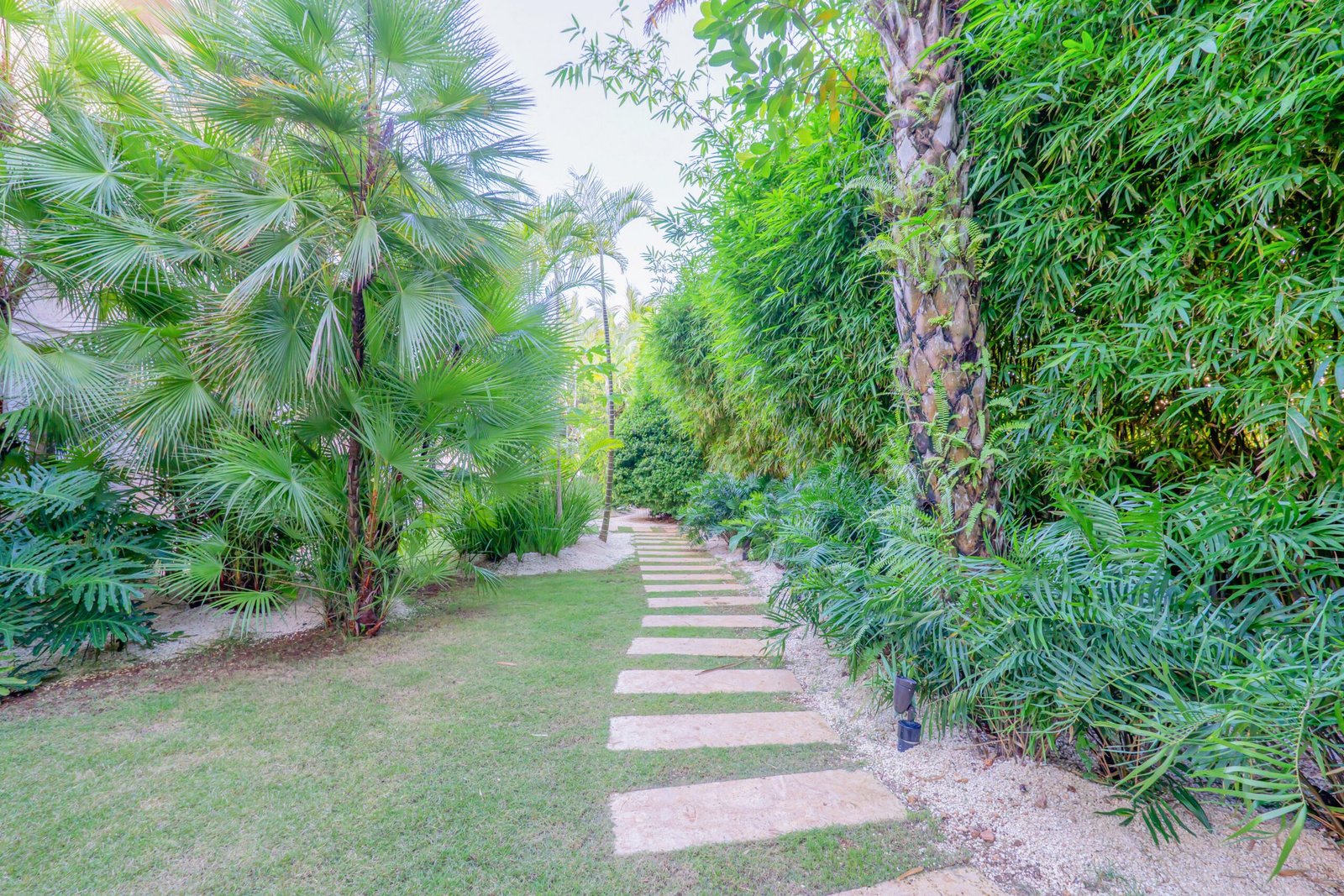 DSC06256-HDR